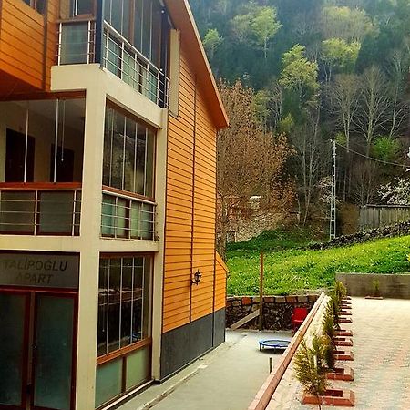 Talipoglu Apart Aparthotel Uzungöl Exterior foto