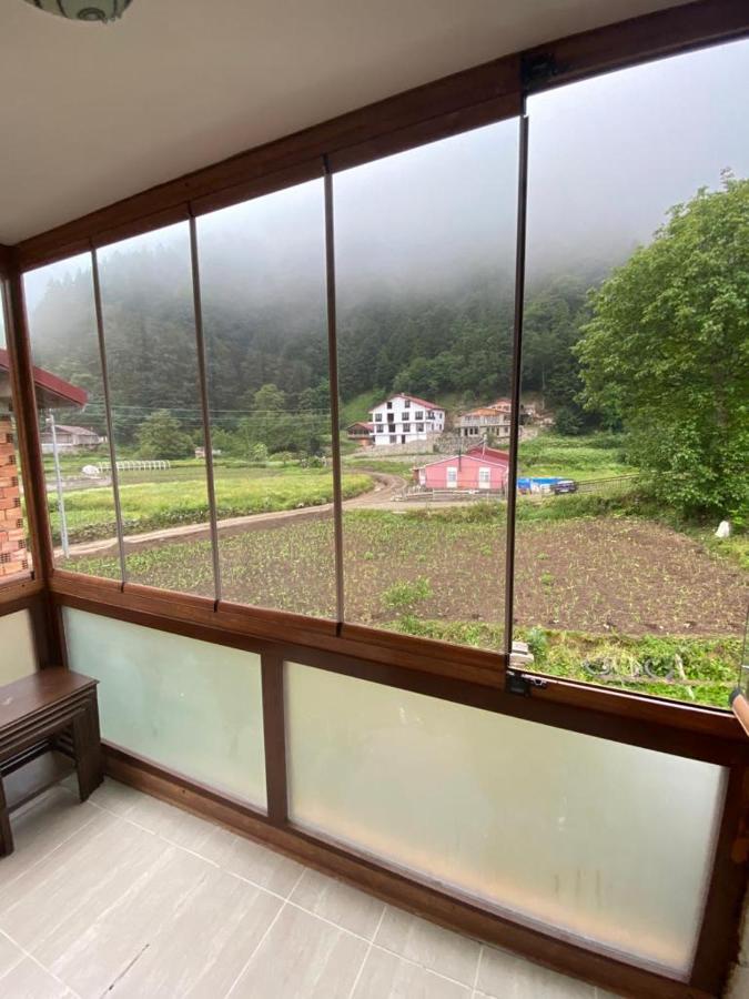 Talipoglu Apart Aparthotel Uzungöl Exterior foto