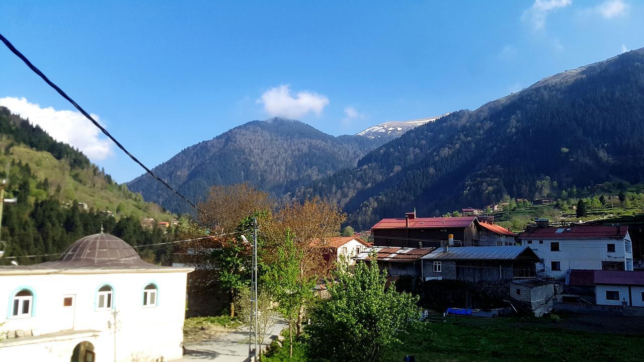 Talipoglu Apart Aparthotel Uzungöl Exterior foto