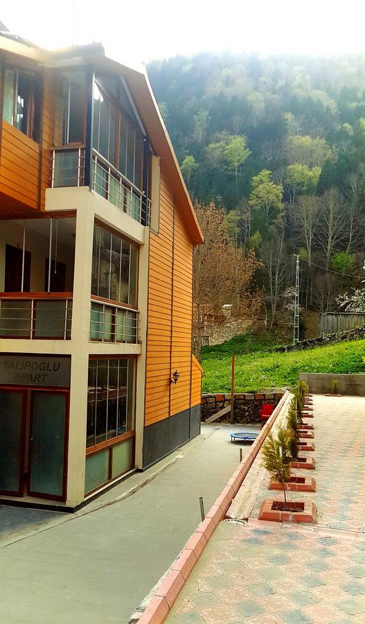 Talipoglu Apart Aparthotel Uzungöl Exterior foto