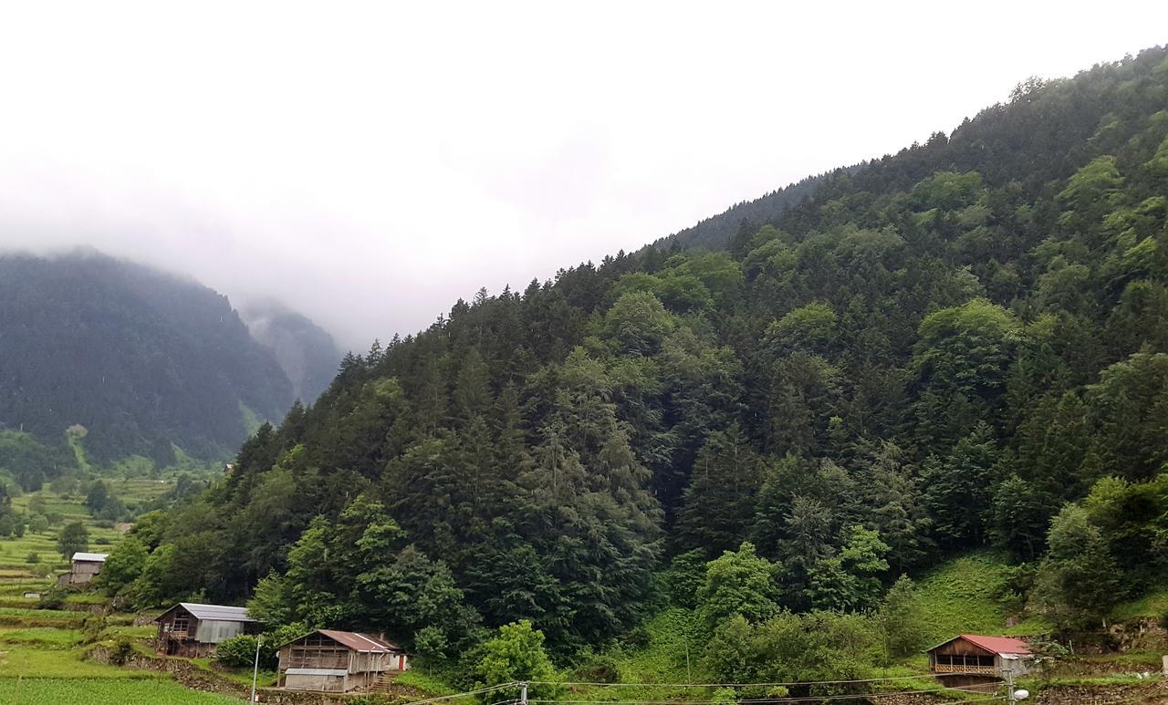 Talipoglu Apart Aparthotel Uzungöl Exterior foto