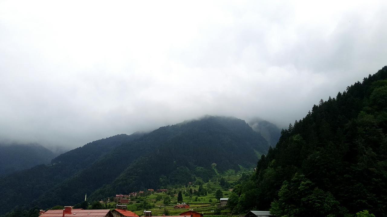 Talipoglu Apart Aparthotel Uzungöl Exterior foto
